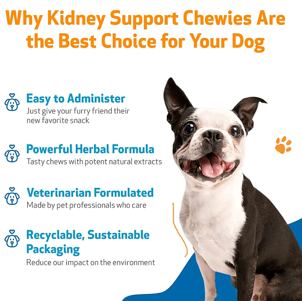 Kidney Support Chewies, 90ct - Image 4