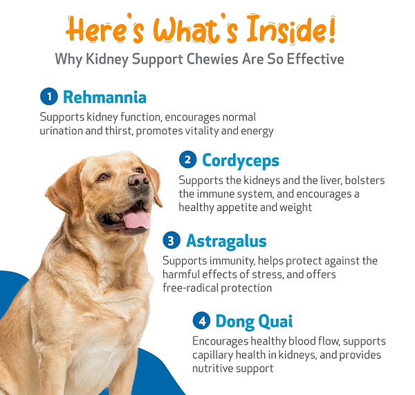Kidney Support Chewies, 90ct - Image 5