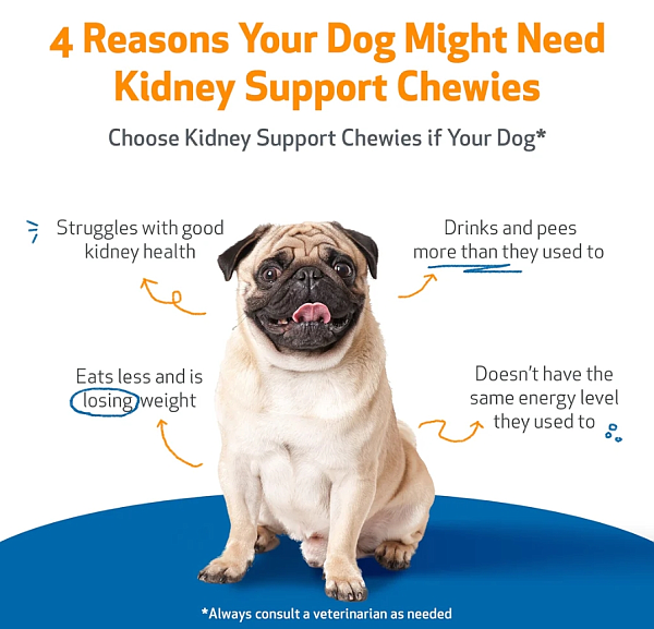 Kidney Support Chewies, 90ct - Image 2