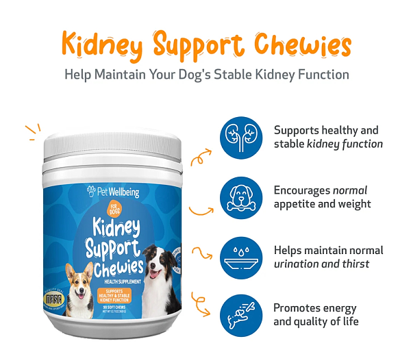 Kidney Support Chewies, 90ct - Image 3