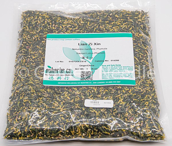 Lian Zi Xin, 1lb
