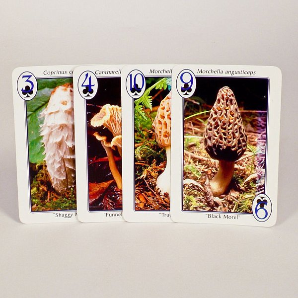 Mushroom Playing Cards