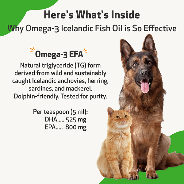 Omega-3 Icelandic Fish Oil - Fatty Acids EPA & DHA for Dogs - Image 5