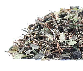 Partridgeberry Herb (Mitchella repens)., Wild Harvested