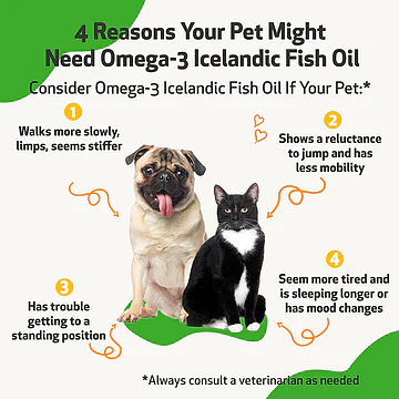 Omega-3 Icelandic Fish Oil - Fatty Acids EPA & DHA for Dogs - Image 2