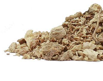 Pleurisy root (Asclepias tuberosa). Wild Harvested