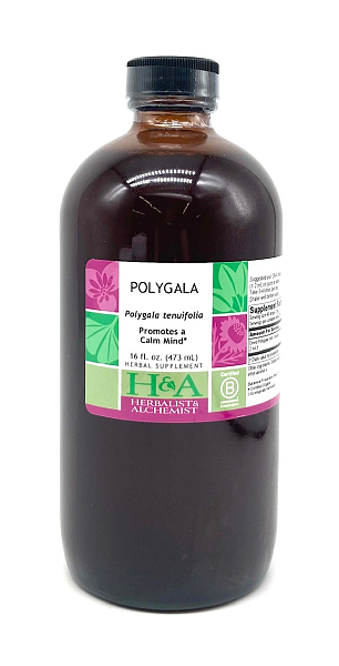 Polygala Extract, 16 oz.