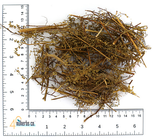 Qing Hao, 1lb