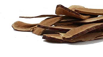 Reishi Mushroom (ling zhi) - Sliced, Organic