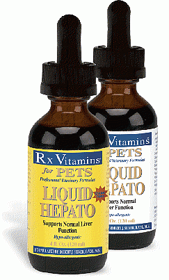 Liquid Hepato - Original Flavor