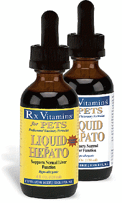 Liquid Hepato - Original Flavor