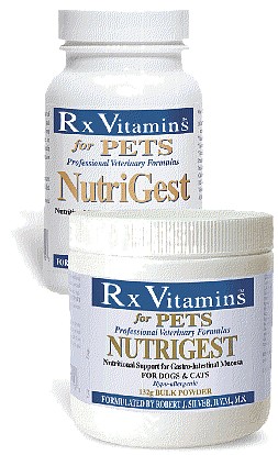 NutriGest Powder