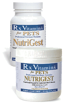 NutriGest Capsules