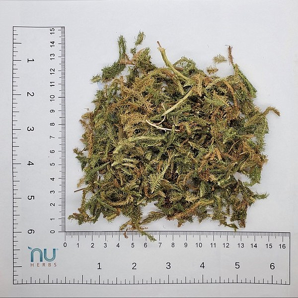 Shen Jin Cao, 1lb