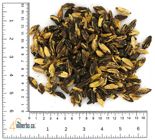 Shi Jun Zi, 1lb