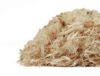 Slippery Elm Inner Bark (Ulmus rubra), organic