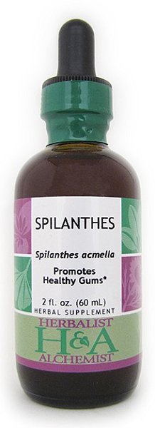 Spilanthes Extract, 2 oz.