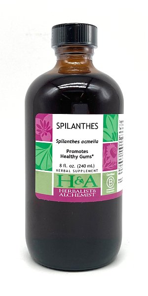 Spilanthes Extract, 8 oz.