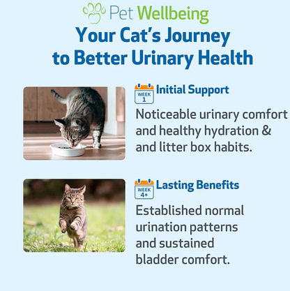 Urinary Gold, 2oz, for Cats - Image 5