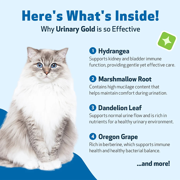 Urinary Gold, 2oz, for Cats - Image 4