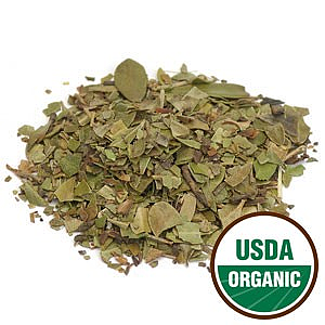 Uva Ursi (Arctostaphylos uva ursi), Organic