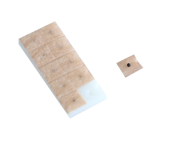 Alpha Vaccaria Ear Seeds, 200ct