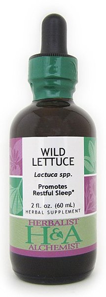 Wild Lettuce Extract, 16 oz.