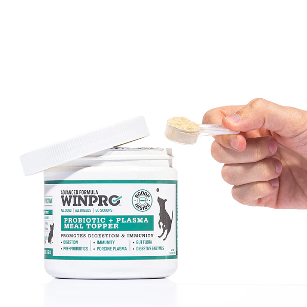 Pre+ Probiotic Plasma Meal Topper, 60 scoops - Image 2