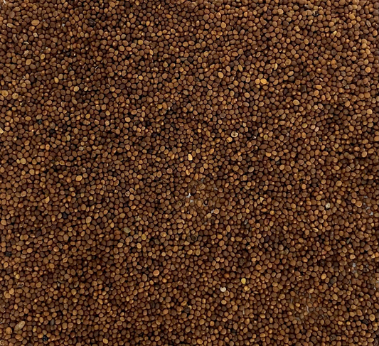 Tu Si Zi, 1lb