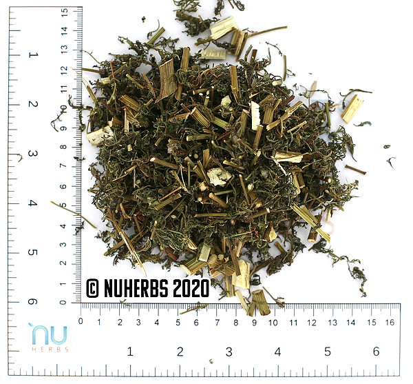 Qing Hao - Certified Organic, 1lb