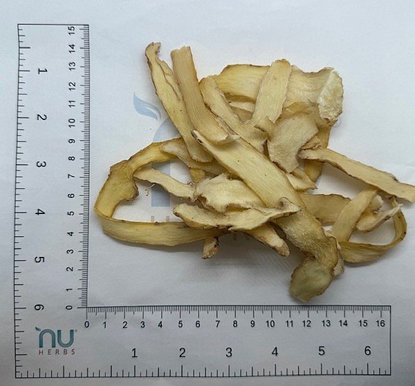 Yu Zhu, 1lb