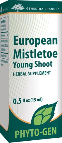 European Mistletoe Young Shoot