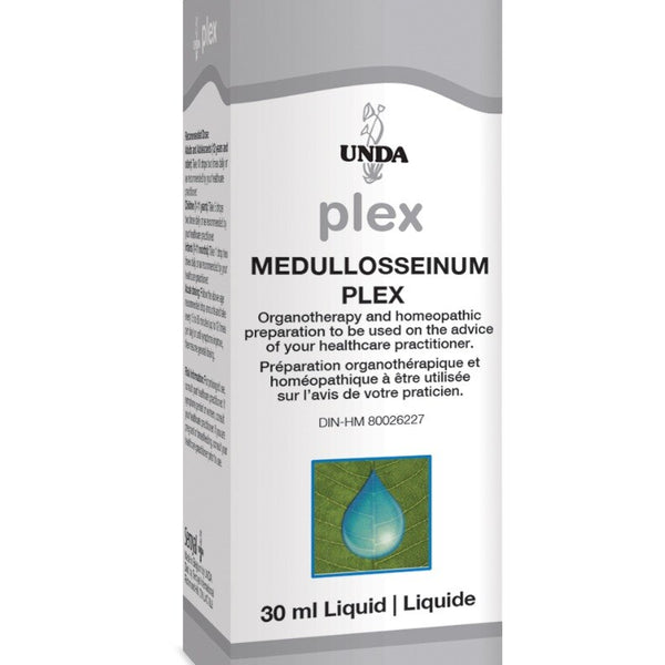 Medullosseinum Plex