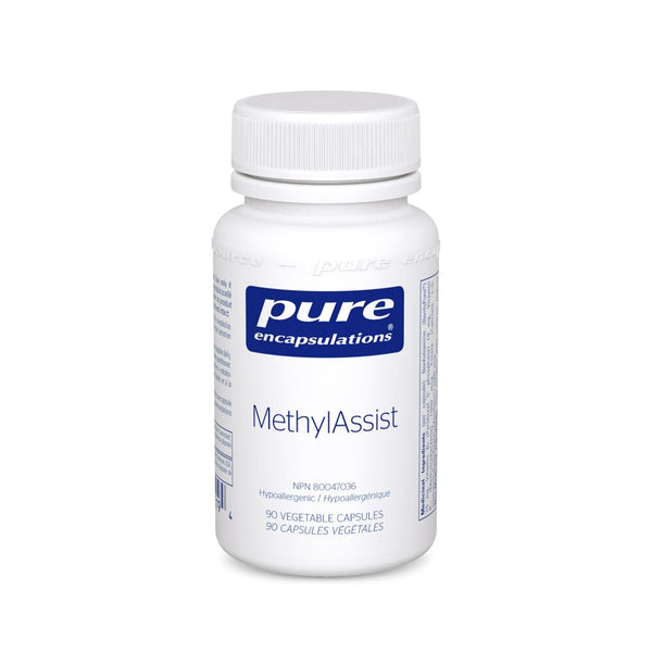 MethylAssist
