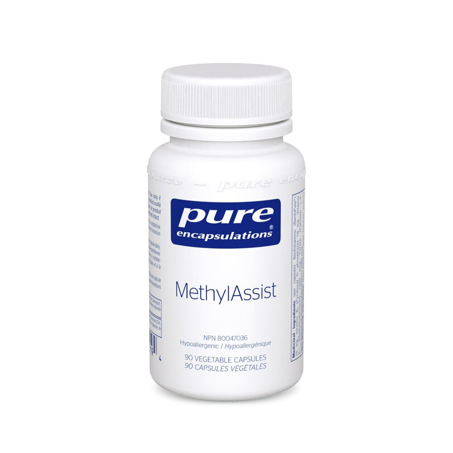 MethylAssist