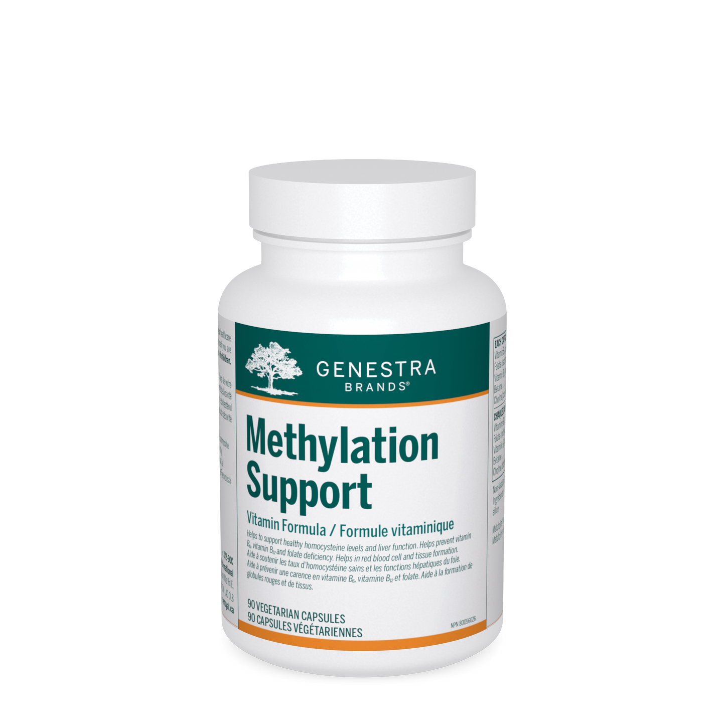 Methylation Support