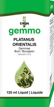 Platanus orientalis 125 ml